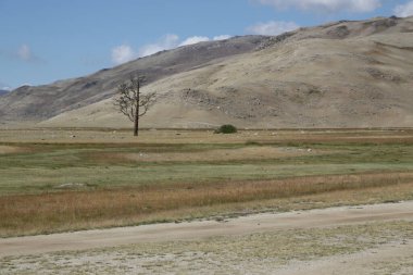 in the land of mongolia the nature and environment