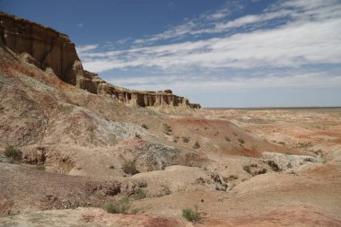 in the land of mongolia the nature and environment