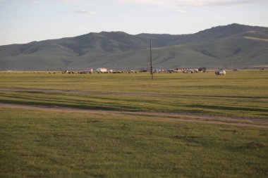 in the land of mongolia the nature and environment