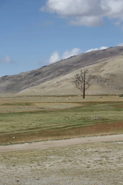 in the land of mongolia the nature and environment