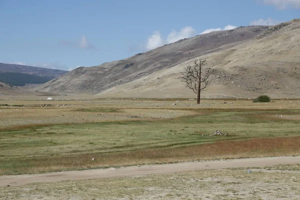 in the land of mongolia the nature and environment