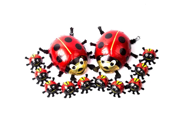 Ladybug on the white background — Stock Photo, Image