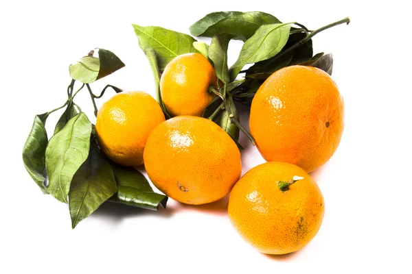 Fruits on the white background — Stock Photo, Image