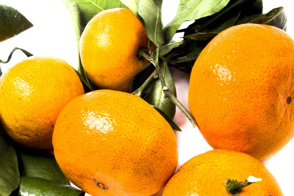 Fruits on the white background — Stock Photo, Image