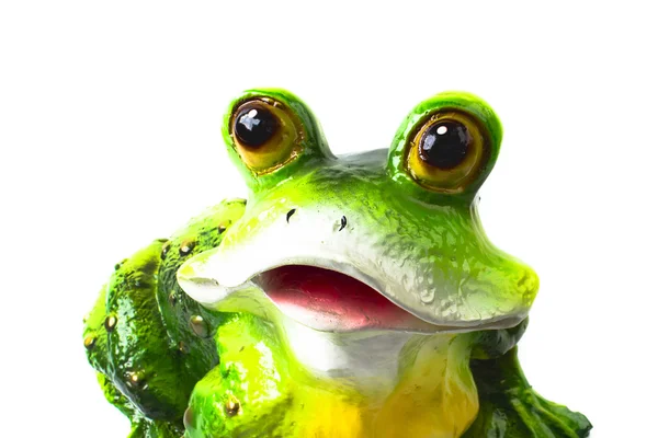 Frog on the white background — Stock Photo, Image