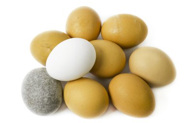 Beyaz arka planda yumurtalar