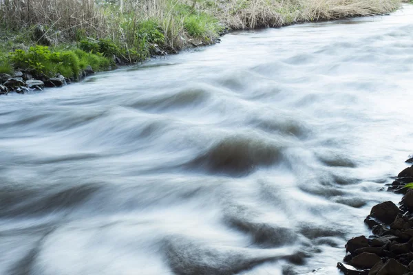 Rivier op de witte achtergrond — Stockfoto