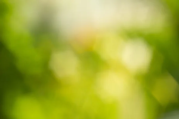 Beyaz arkaplanda arkaplan — Stok fotoğraf