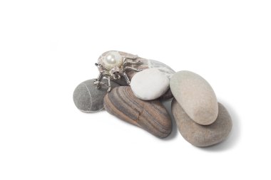 Beyaz arkaplanda örümcek