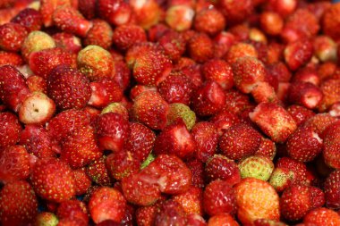 Beyaz arka planda çilek