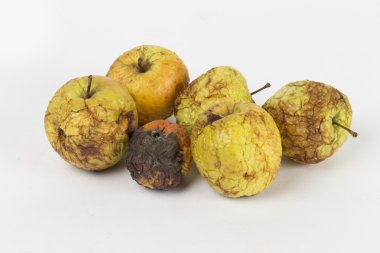 Beyaz arkaplanda elma