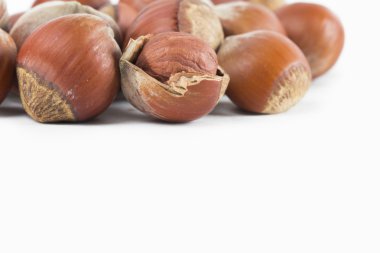 beyaz zemin üzerine fındık