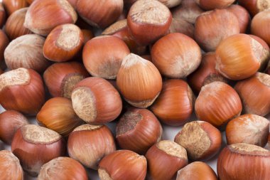 beyaz zemin üzerine fındık