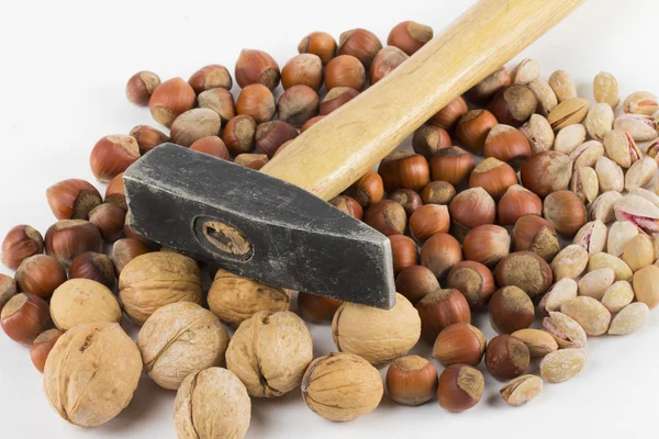 Nueces en el fondo blanco — Foto de Stock