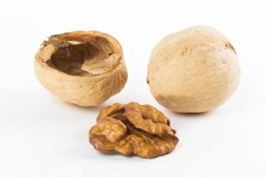 beyaz zemin üzerine fındık