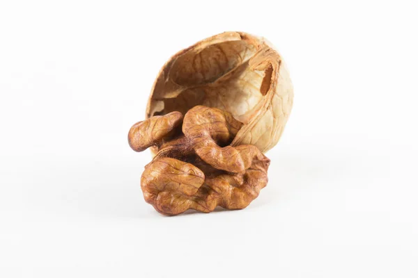 Nueces en el fondo blanco — Foto de Stock