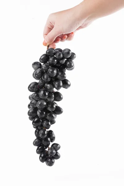 Uvas sobre fondo blanco — Foto de Stock