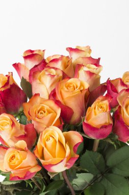 Beyaz arkaplanda çiçekler