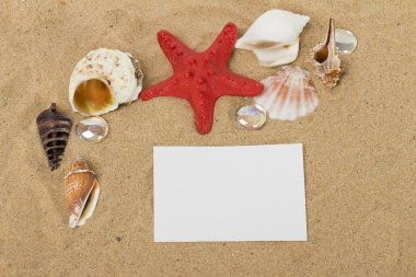 beyaz zemin üzerine deniz