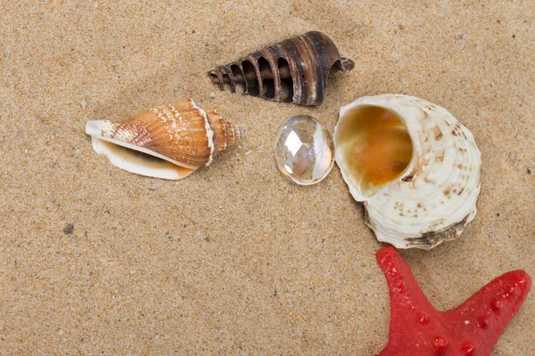 Havet på den vita bakgrunden — Stockfoto