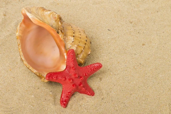 Sea on the white background — Stock Photo, Image