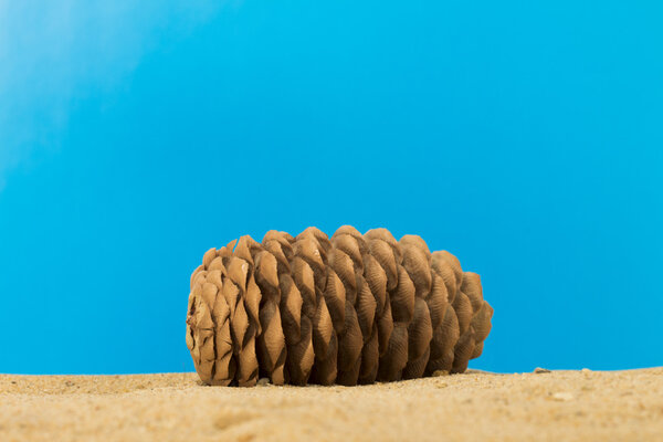 Cone on the white background