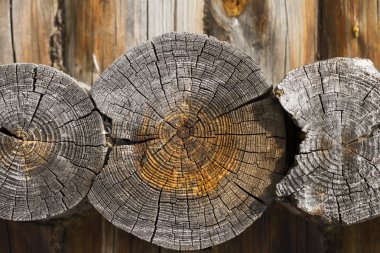 Ahşap beyaz arka plan üzerine