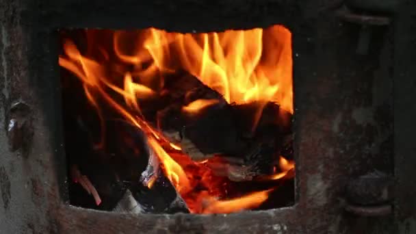 Fuego sobre el fondo blanco — Vídeo de stock