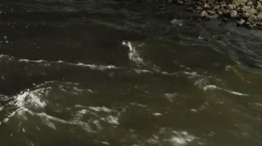 beyaz zemin üzerinde Nehri