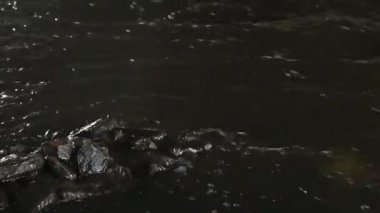 beyaz zemin üzerinde Nehri
