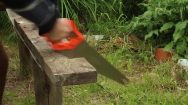 Beyaz arka plan üzerinde gördüm