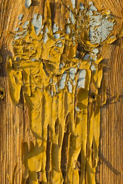 deska na białym tle