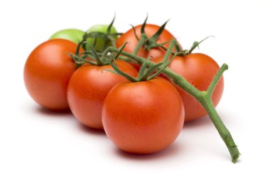 Beyaz arka planda domates