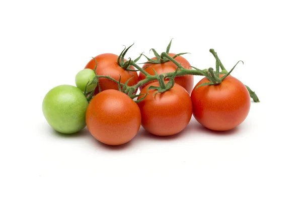 Tomato on the white background — Stock Photo, Image