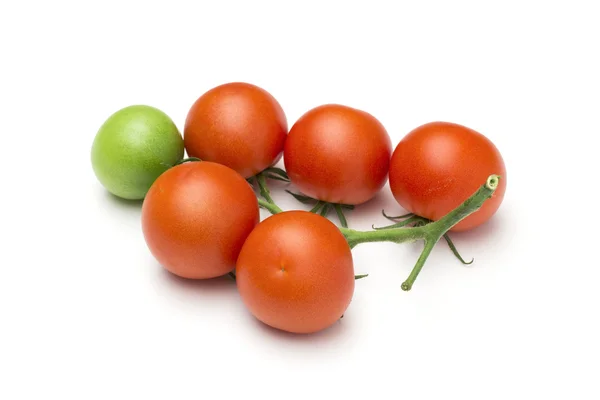 Tomato on the white background — Stock Photo, Image