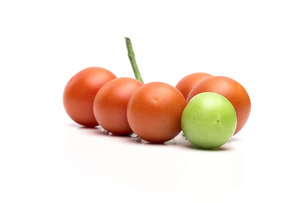 Tomato on the white background — Stock Photo, Image