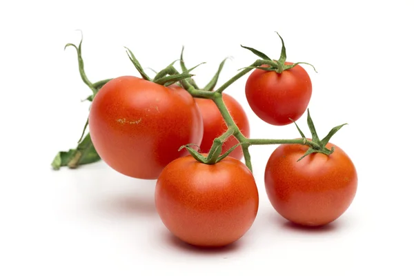 Tomato on the white background — Stock Photo, Image