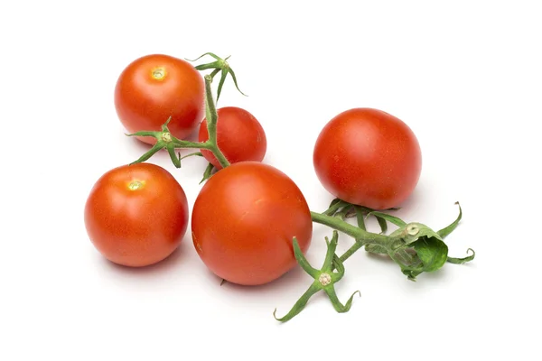 Tomato on the white background — Stock Photo, Image