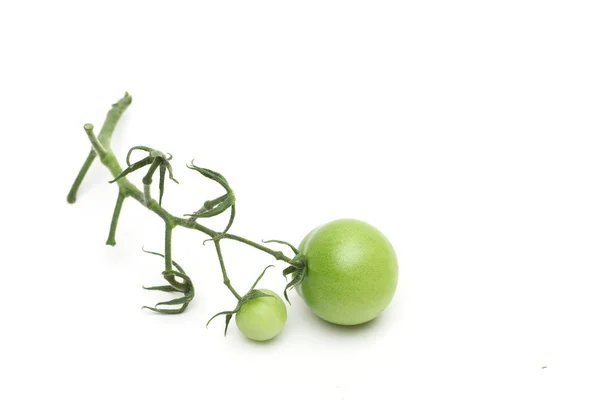 Tomate sobre o fundo branco — Fotografia de Stock