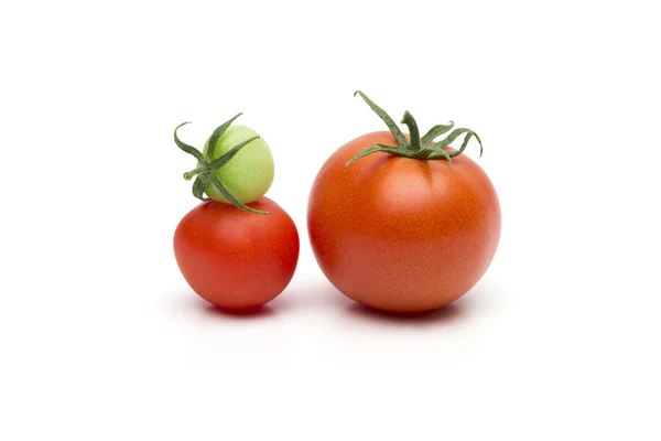 Tomato on the white background — Stock Photo, Image