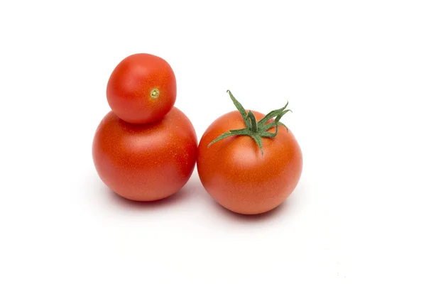 Tomato on the white background — Stock Photo, Image