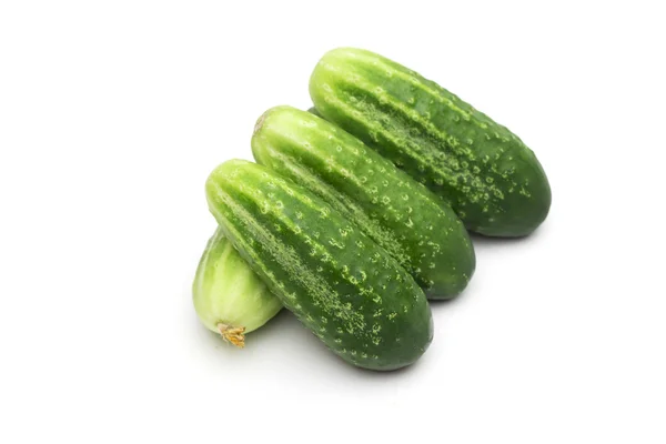 Cucumber on the white background — Stock Photo, Image