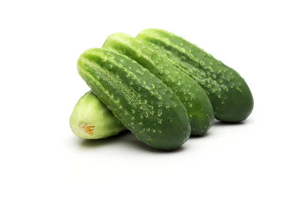 Cucumber on the white background — Stock Photo, Image