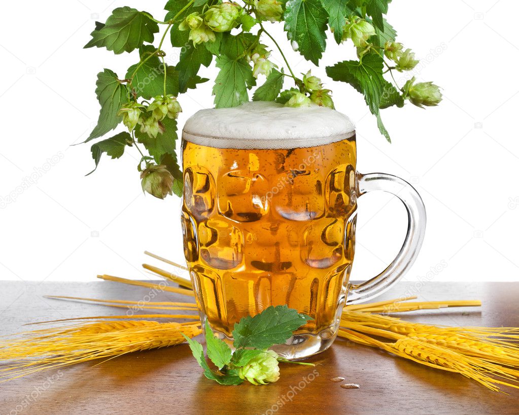 Flower beer — Stock Photo © zhangling788 12641886