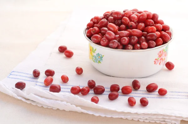 Red cornel in old-styled metal bowl placed on towel on light background — Stock Photo, Image