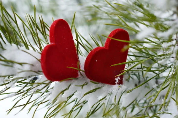 Zwei rote Herzen in Tannennadeln, die mit Schnee bedeckt sind — Stockfoto
