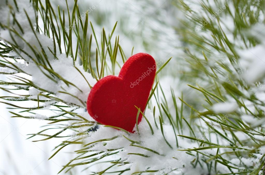 Red heart in pine needles covered with snow