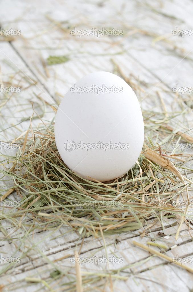 Chicken egg in straw on wooden boards