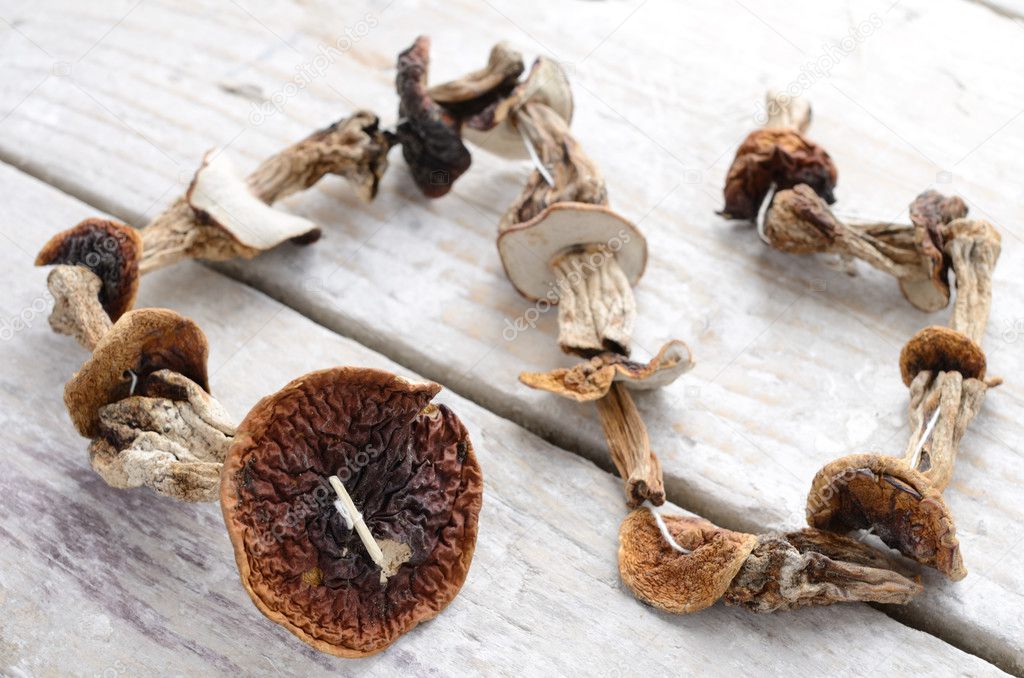 Dried mushrooms bunch over wooden background