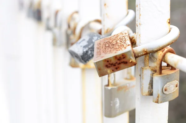 Old padlocks hanging on the metal fence — Stock Photo, Image